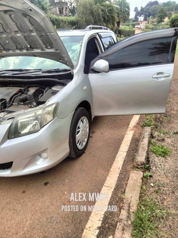 Toyota Fielder 2020 Silver