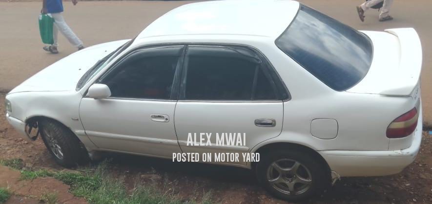 Toyota Corolla 2011 White