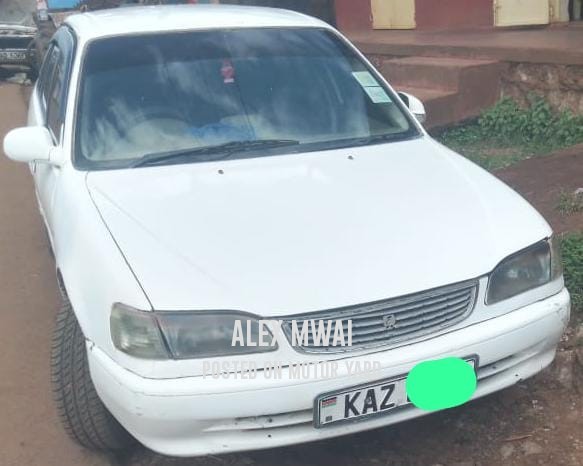 Toyota Corolla 2011 White