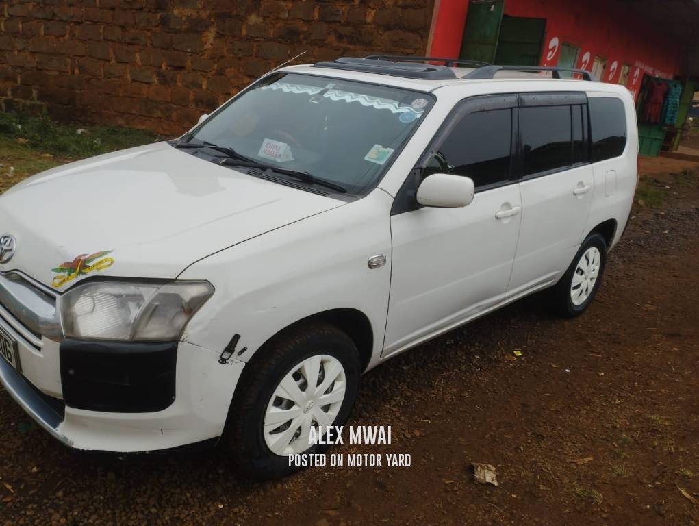 Toyota Succeed 2014 White