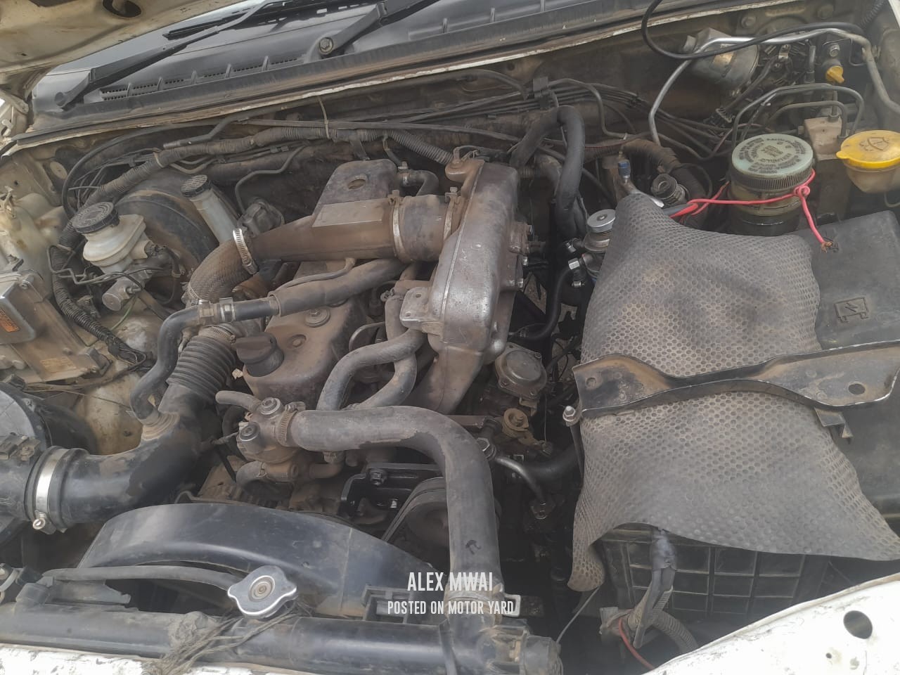 Isuzu D-Max 2013 White