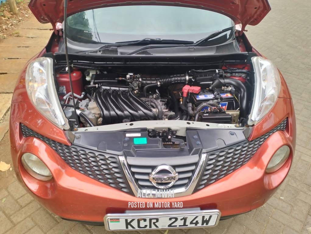 Nissan Juke 2011 Maroon