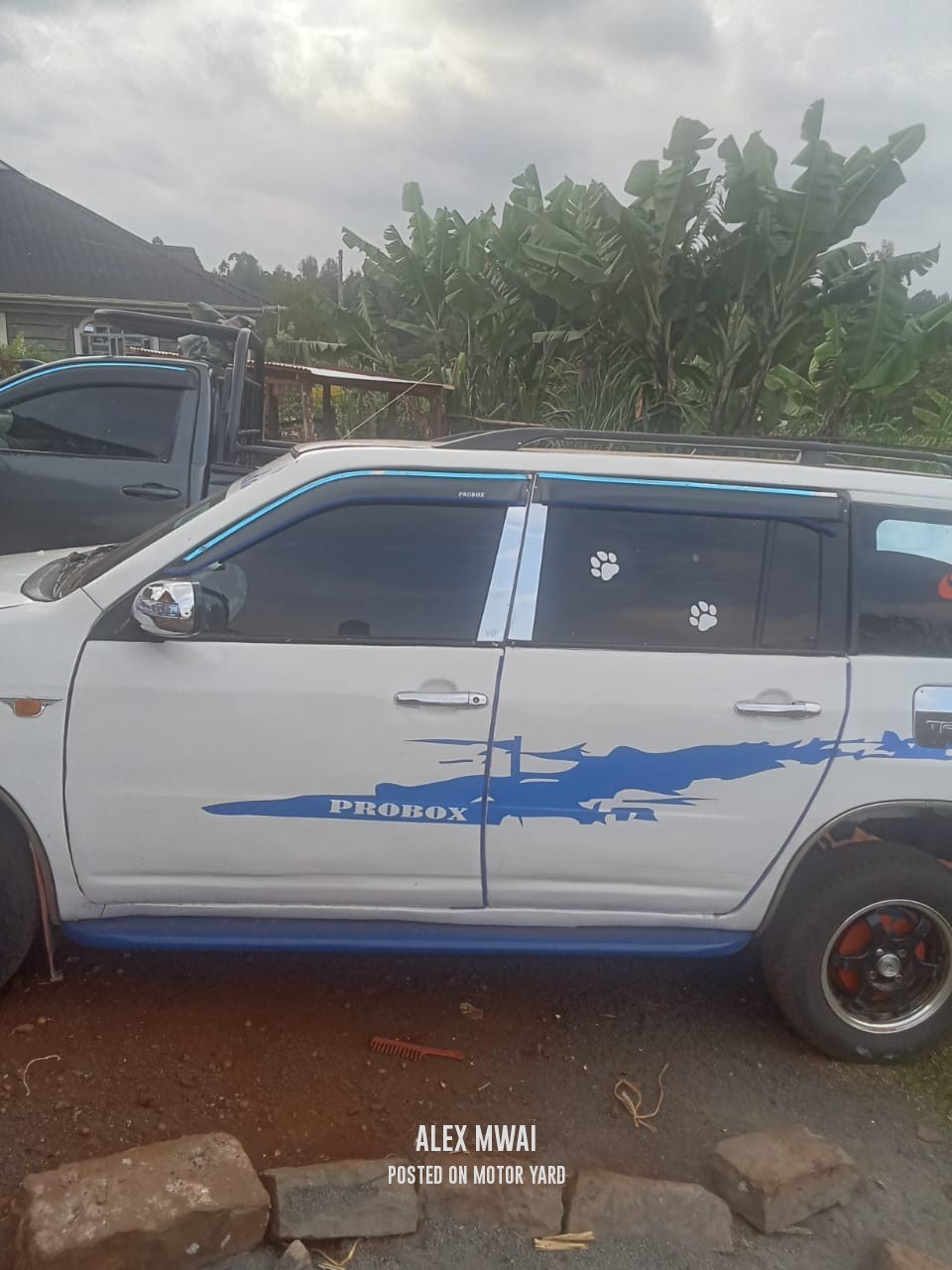 Toyota Probox 2015 White