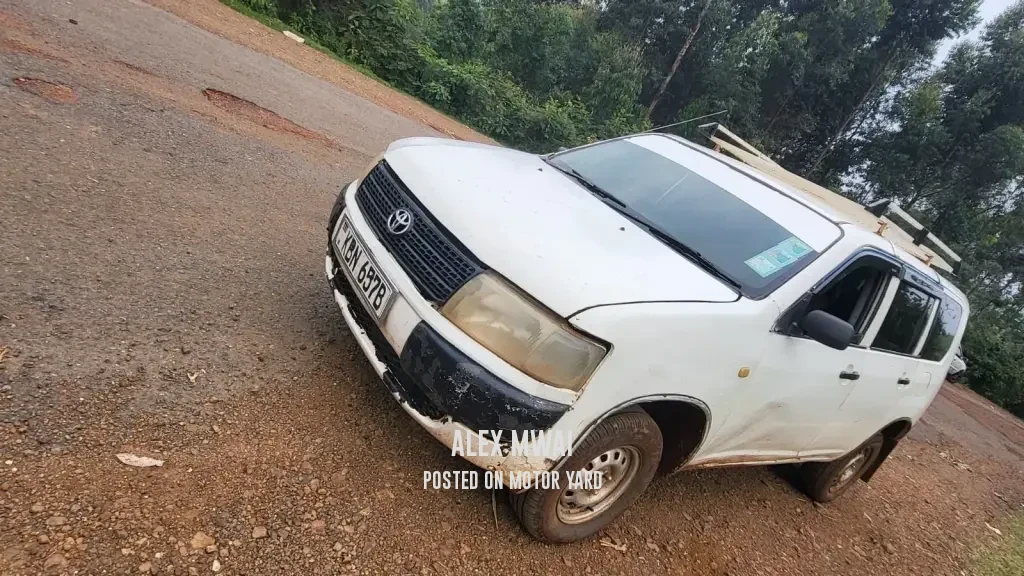 Toyota Probox 2015 Silver