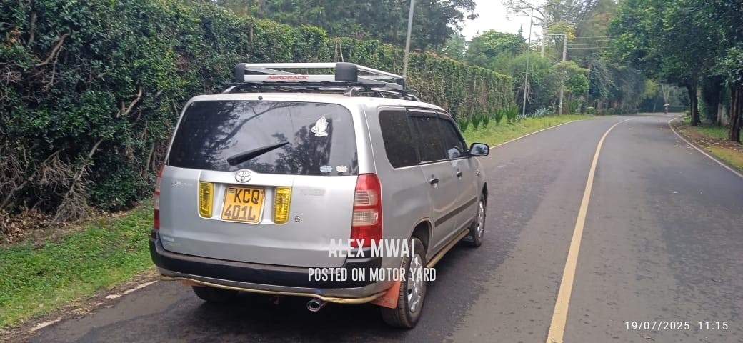 Toyota Probox 2015 Silver