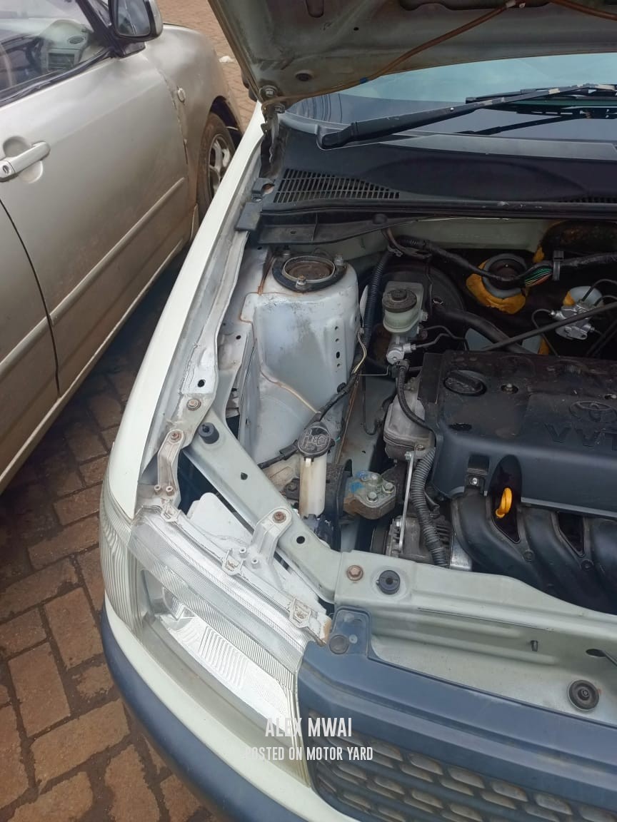 Toyota Probox 2015 White