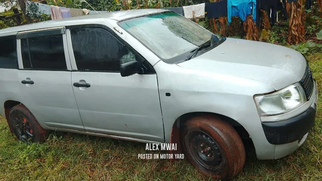 Toyota Probox 2015 Silver