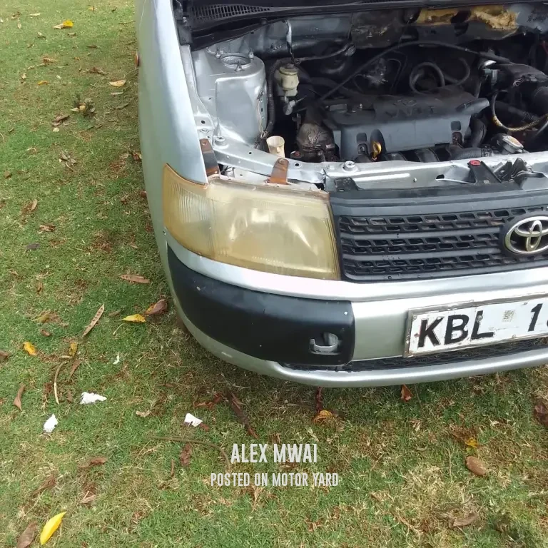 Toyota Probox 2015 Silver