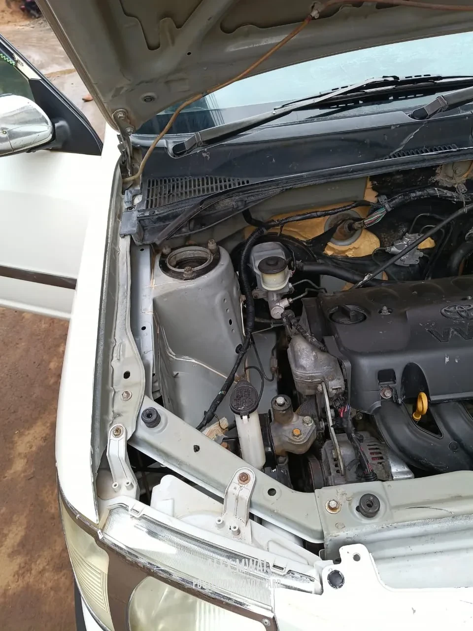 Toyota Succeed 2015 White