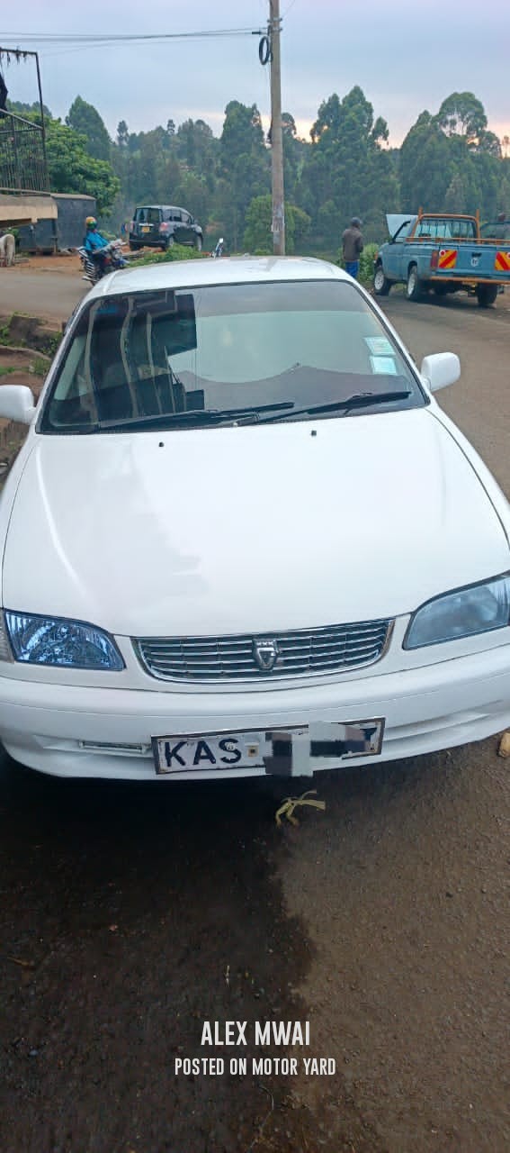 Toyota Corolla 2013 White