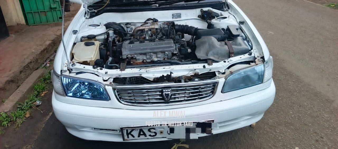 Toyota Corolla 2013 White