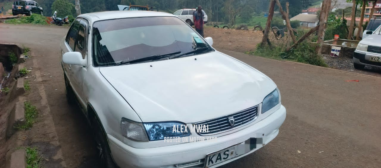 Toyota Corolla 2013 White