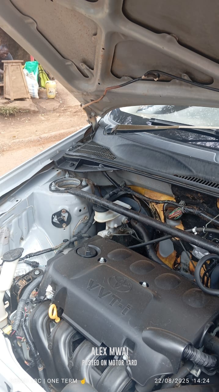 Toyota Probox 2015 Silver