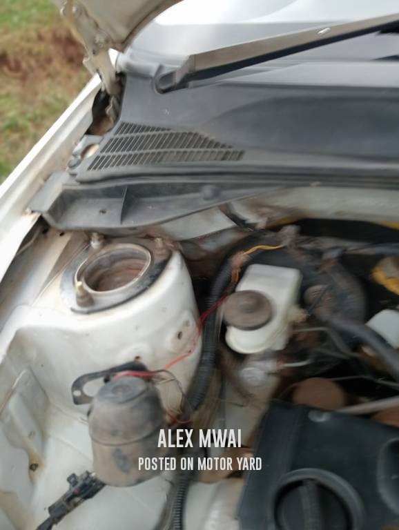 Toyota Probox 2015 Silver