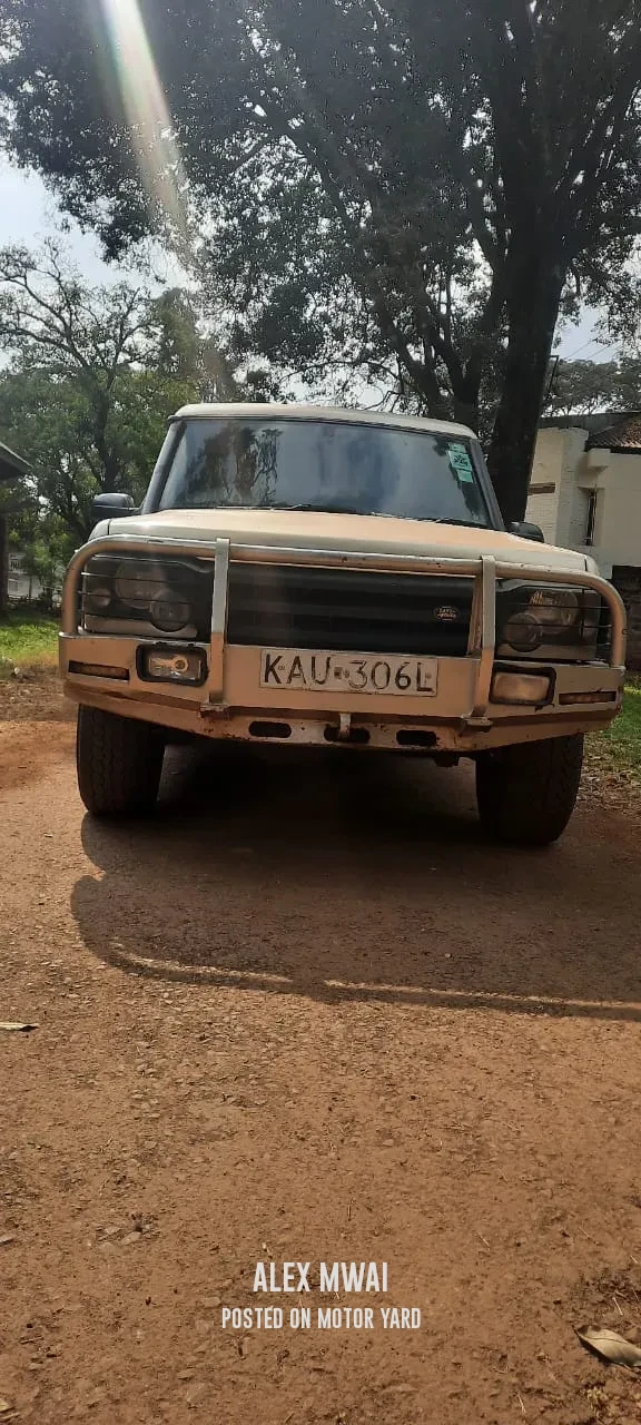 Land Rover Discovery 2 2004 Brown