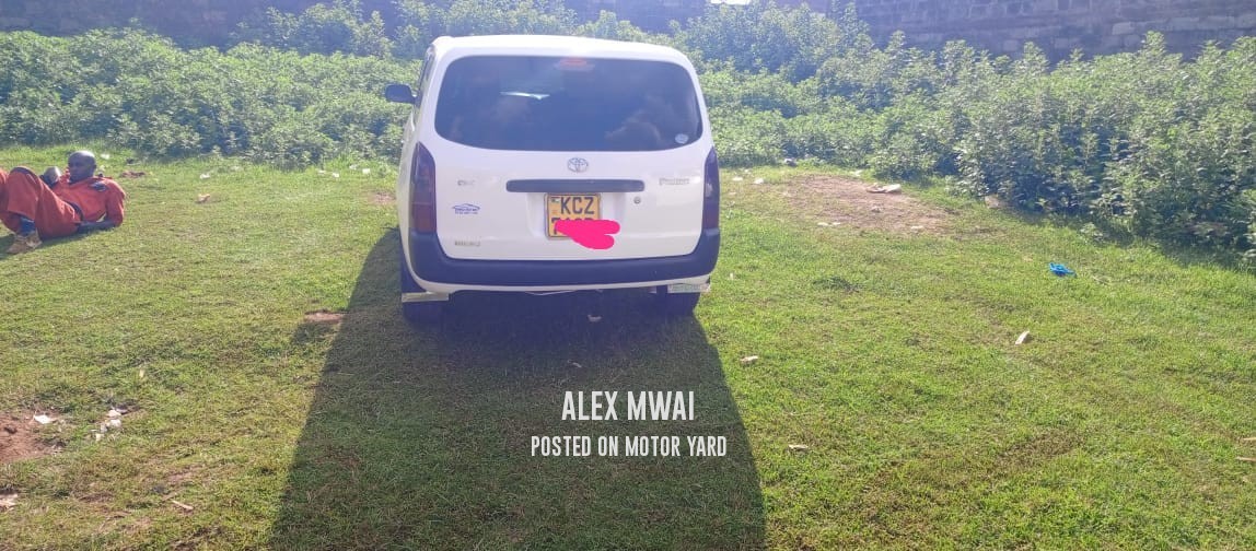 Toyota Probox 2014 White