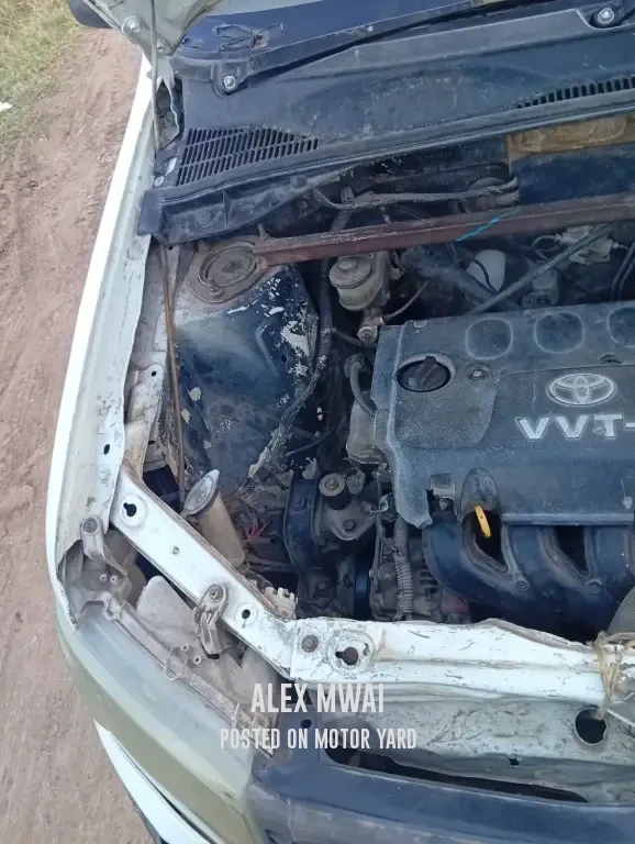 Toyota Probox 2014 White