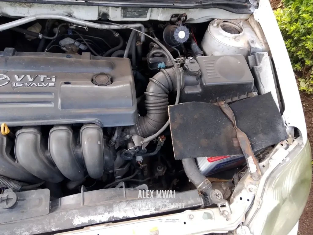 Toyota Fielder 2003 White