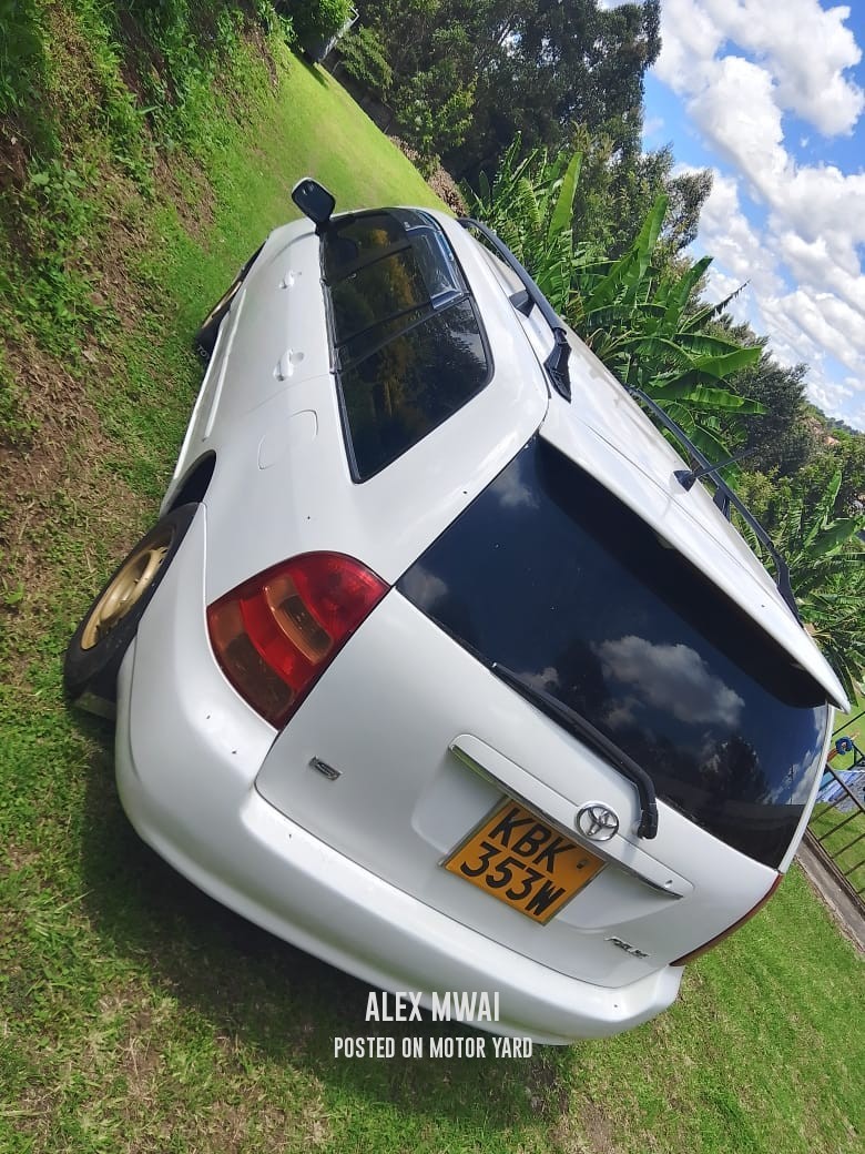 Toyota Fielder 2003 White