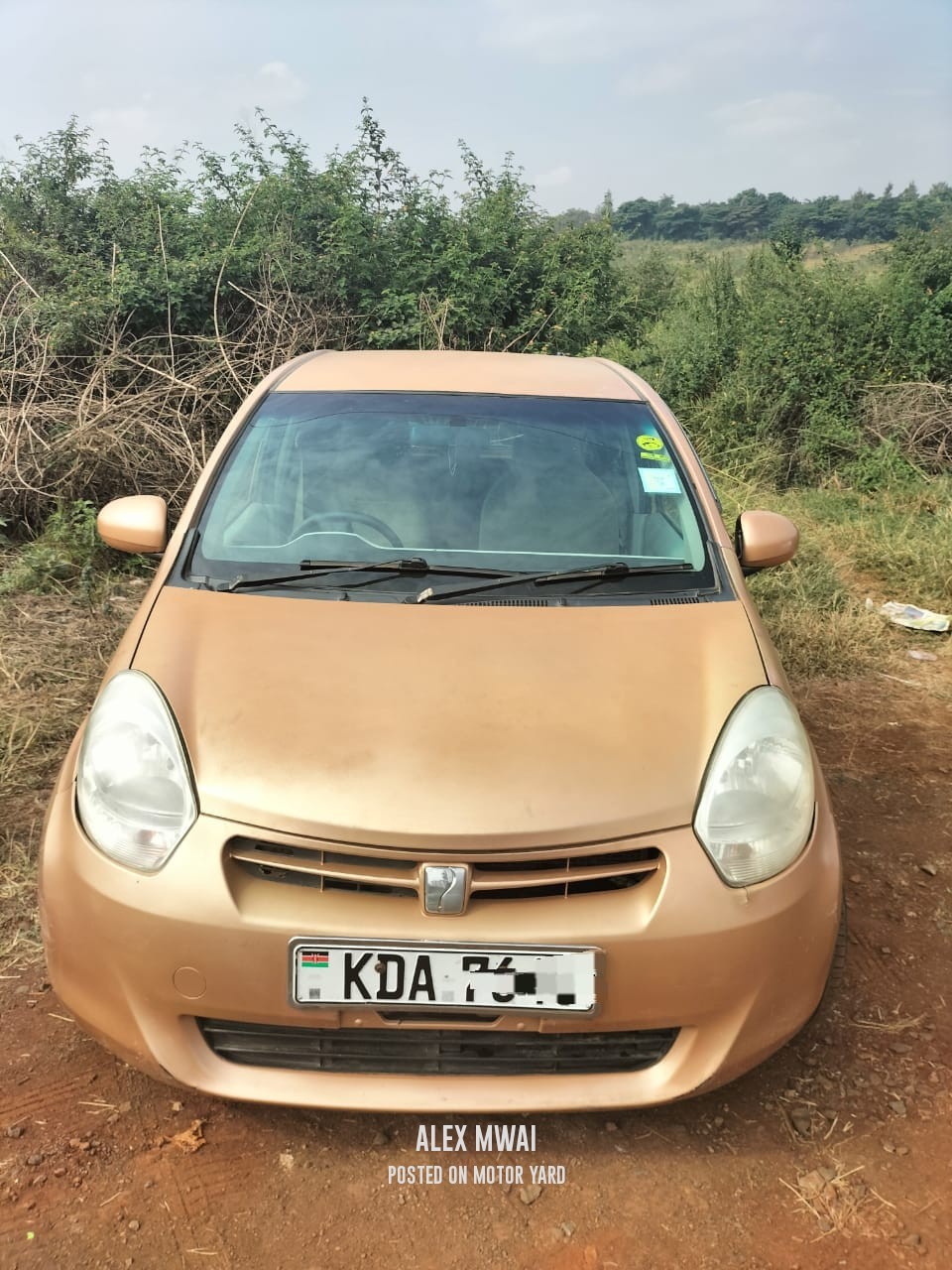 Toyota Passo 2014 Bronze