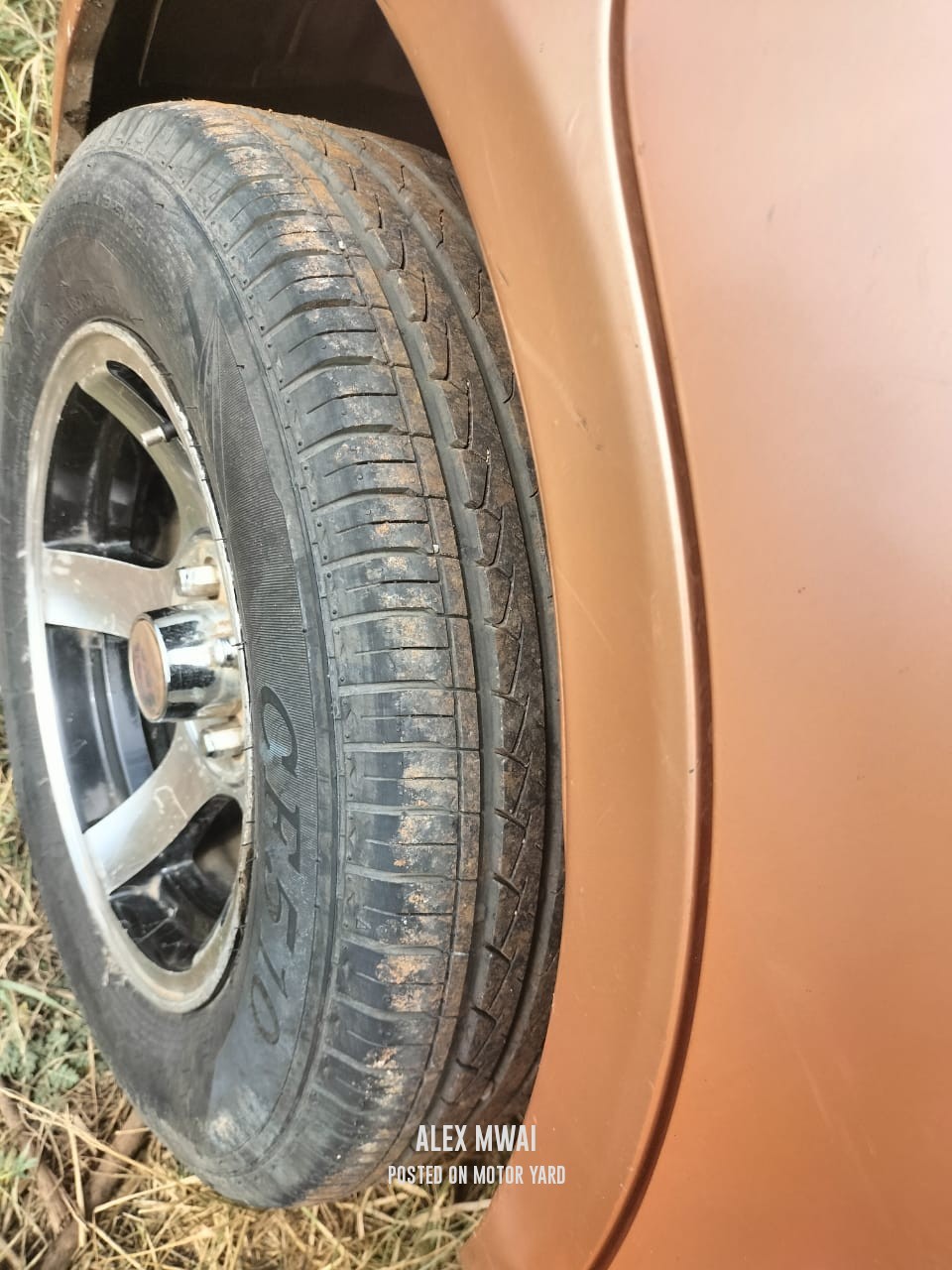 Toyota Passo 2014 Bronze