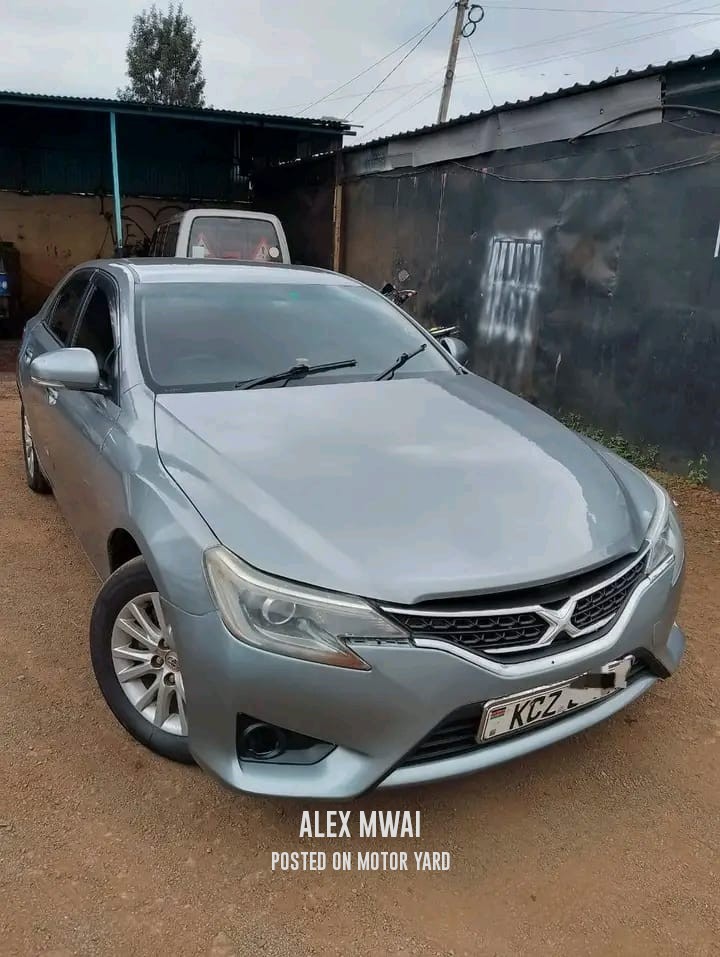 Toyota Mark X 2010 Blue