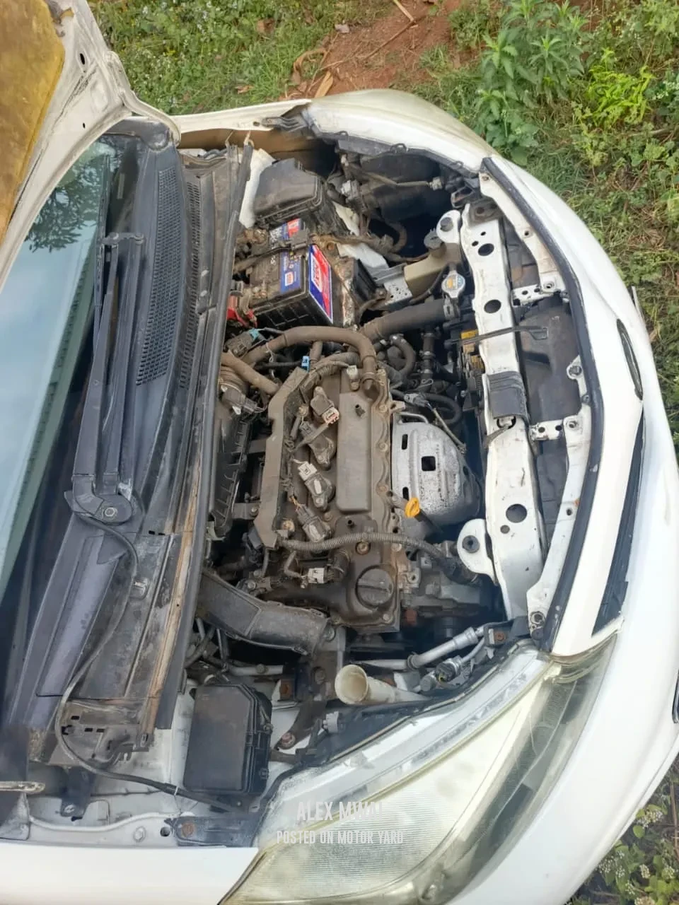 Toyota Vitz 2010 White