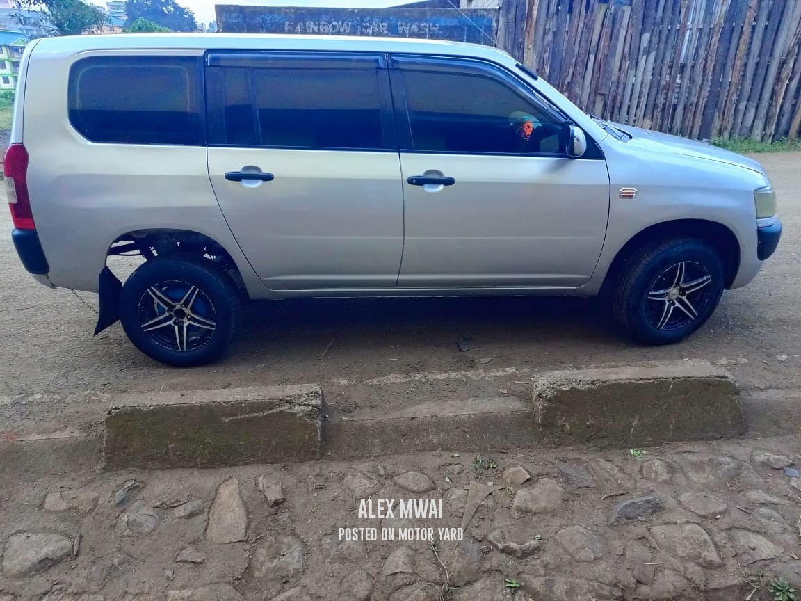 Toyota Probox 2014 Silver