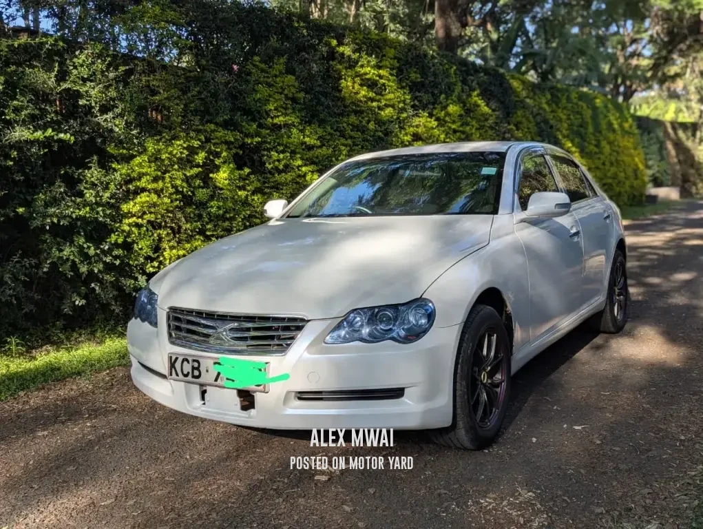Toyota Mark X 2007 Pearl