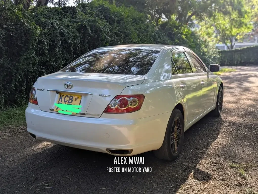 Toyota Mark X 2007 Pearl