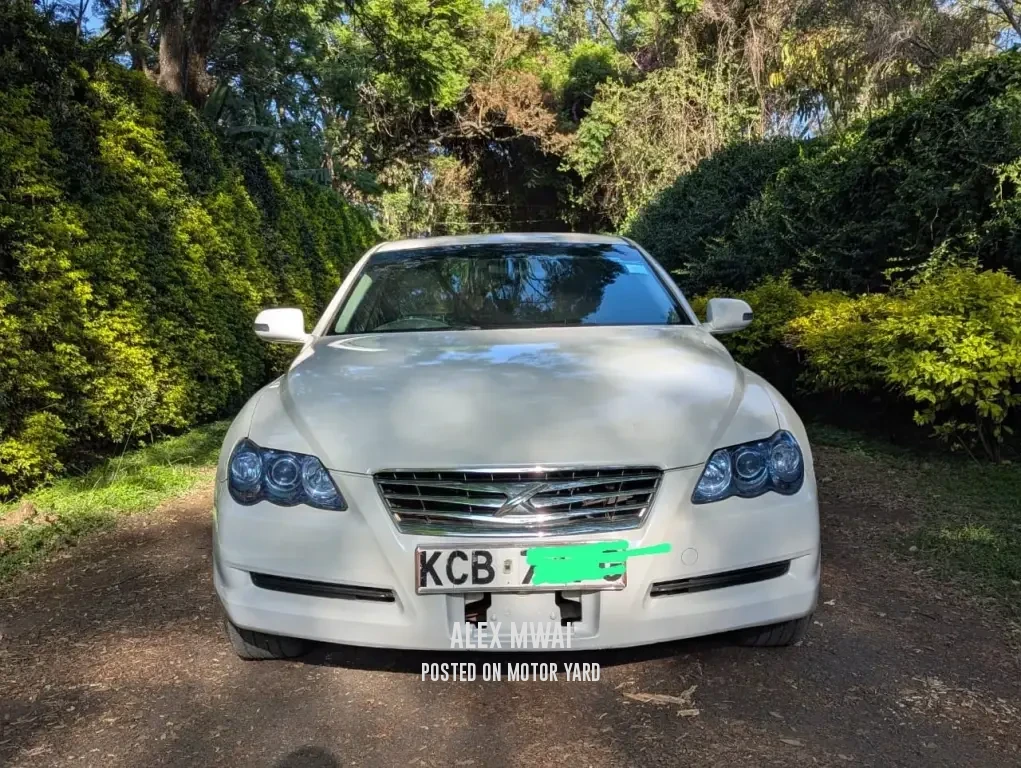 Toyota Mark X 2007 Pearl
