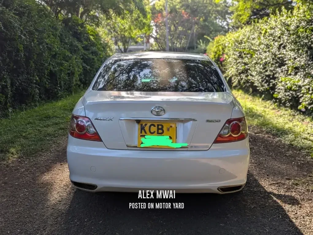 Toyota Mark X 2007 Pearl