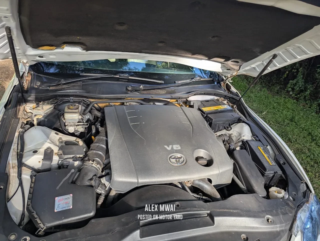 Toyota Mark X 2007 Pearl