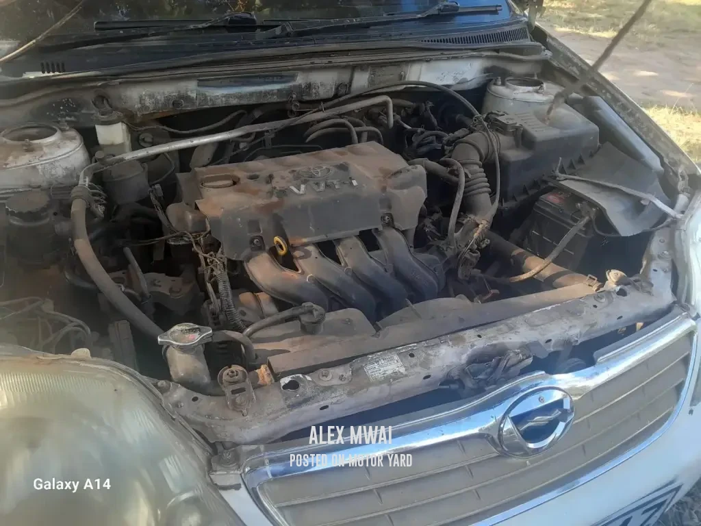 Toyota Corolla 2008 White