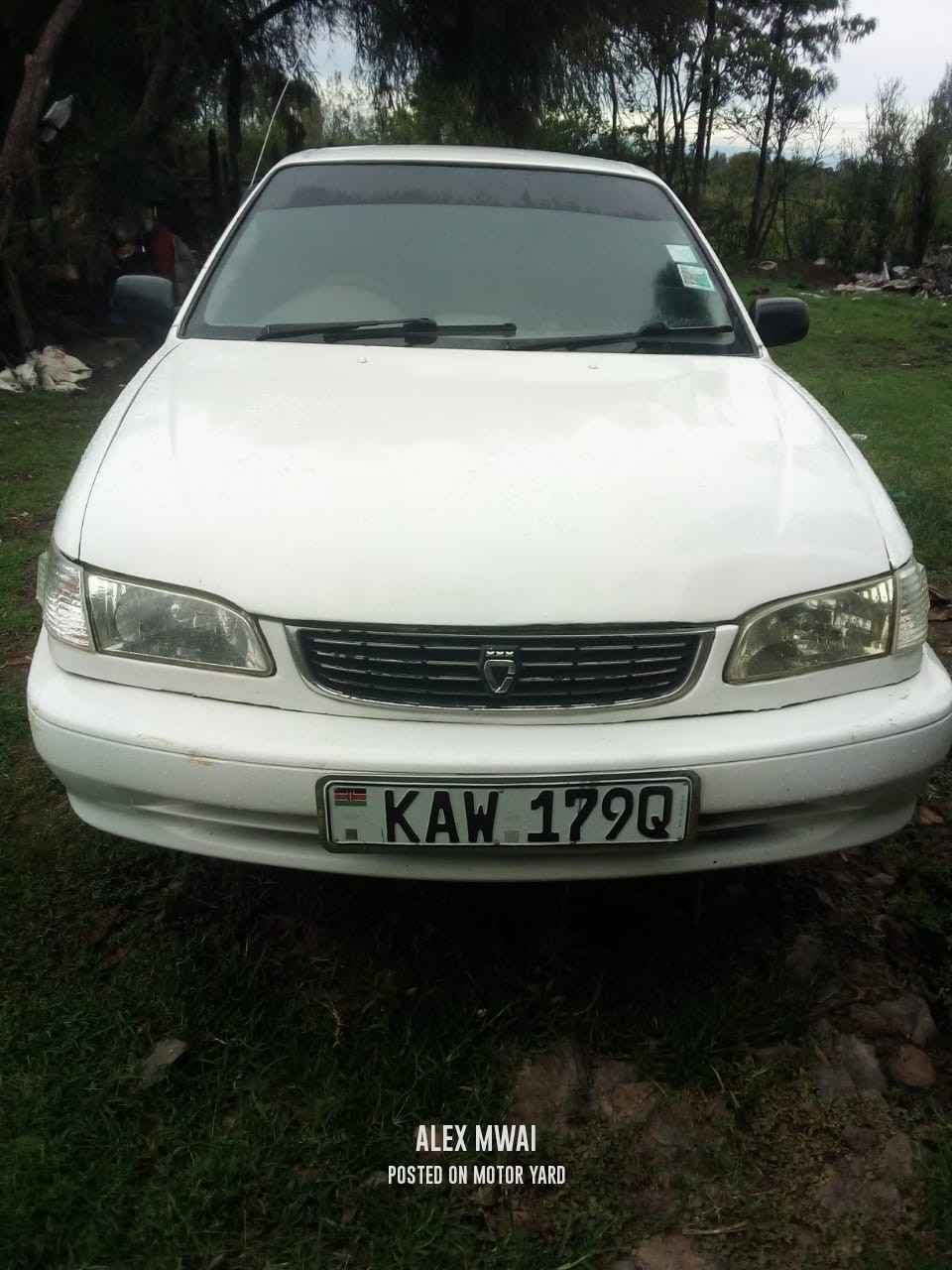 Toyota Corolla 2010 White