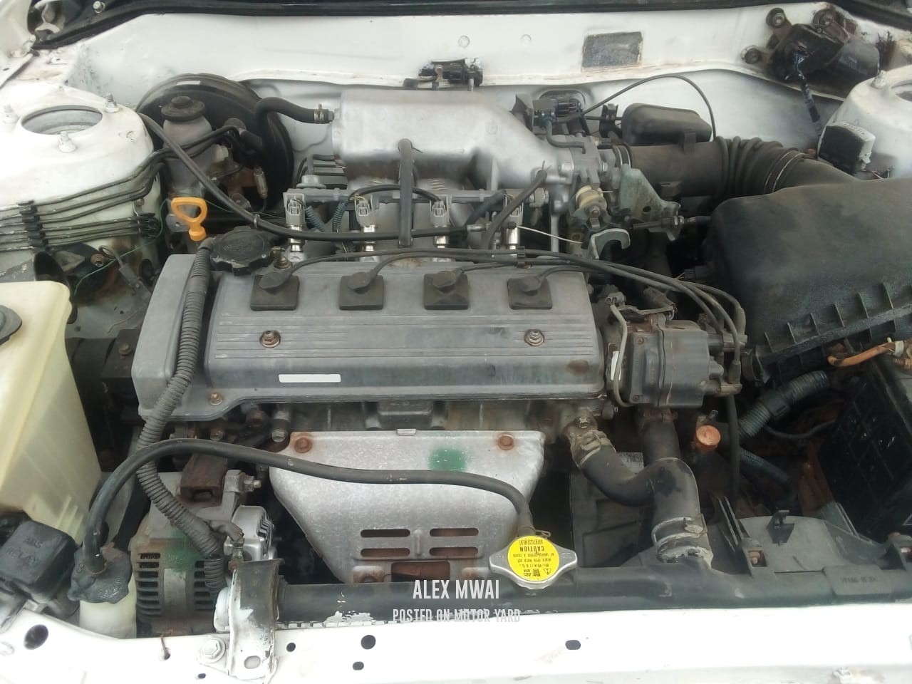 Toyota Corolla 2010 White