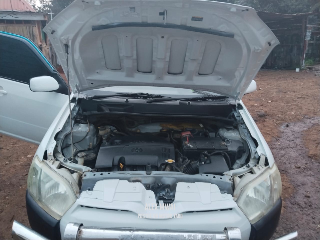 Toyota Probox 2015 White