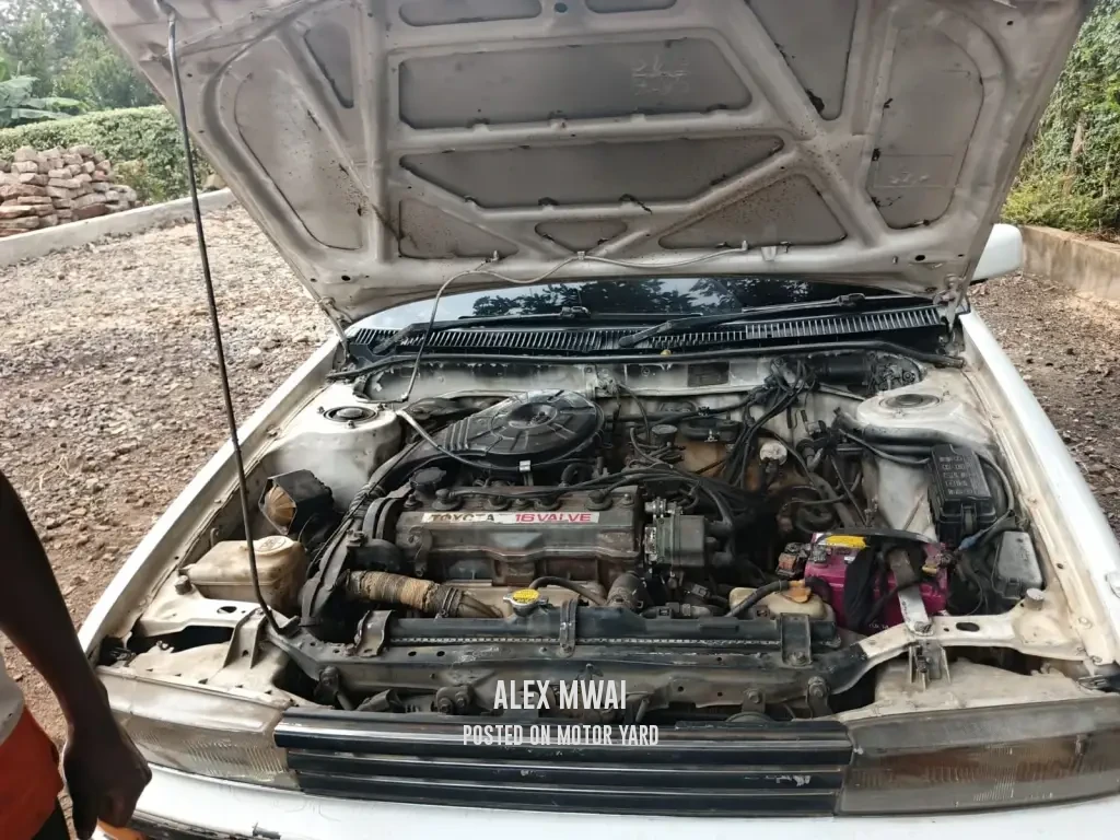 Toyota Corolla 2000 White