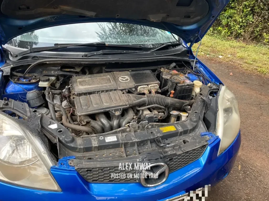 Mazda Demio 2006 Blue
