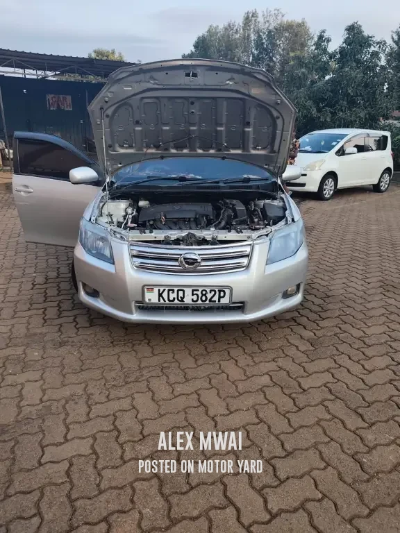 Toyota Axio 2011 Silver