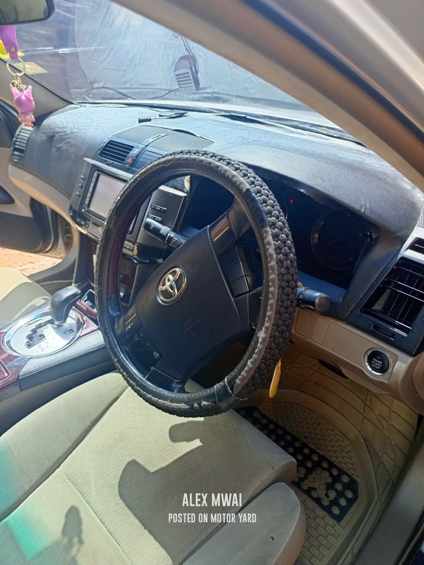 Toyota Mark X 2007 Grey