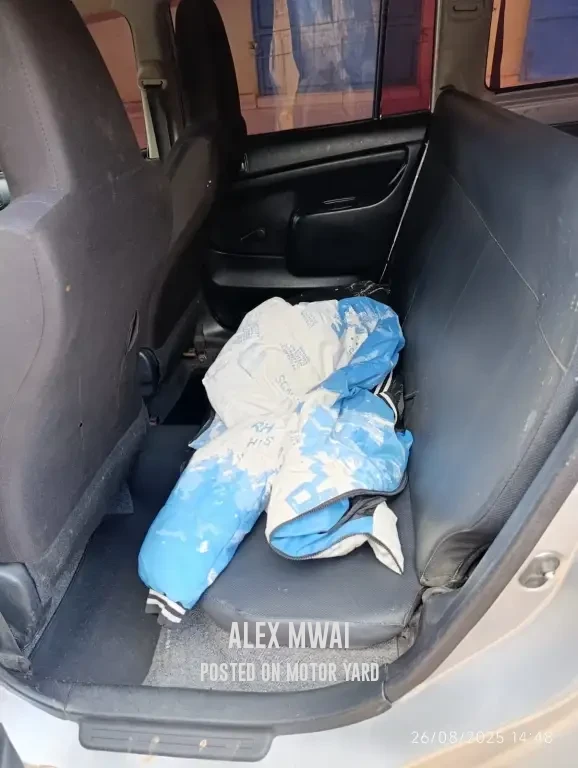 Toyota Probox 2014 Silver