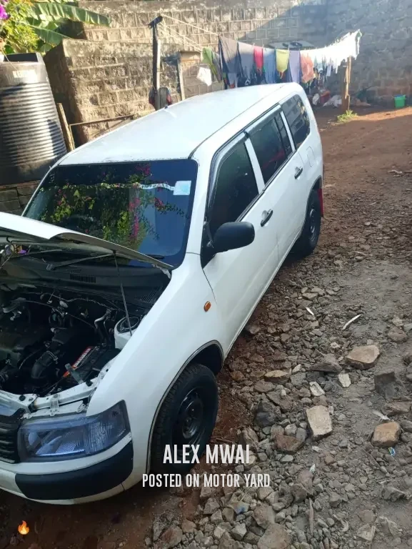 Toyota Probox 2015 Silver