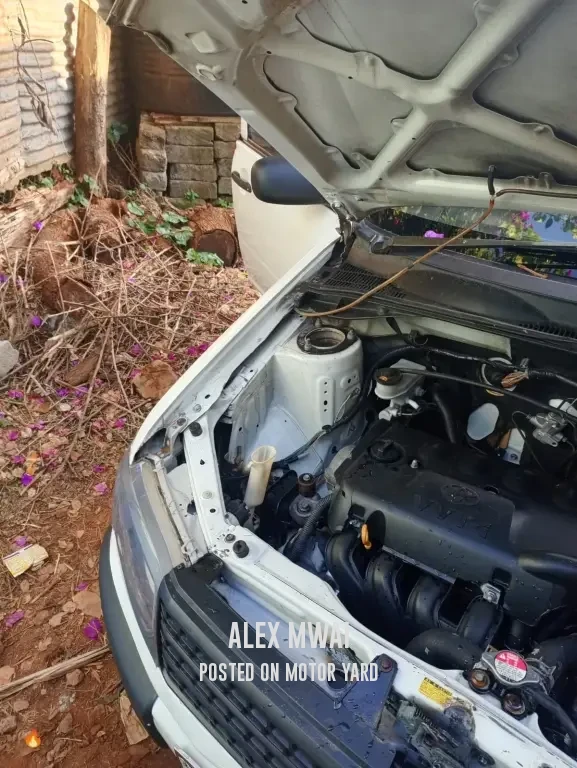 Toyota Probox 2015 Silver