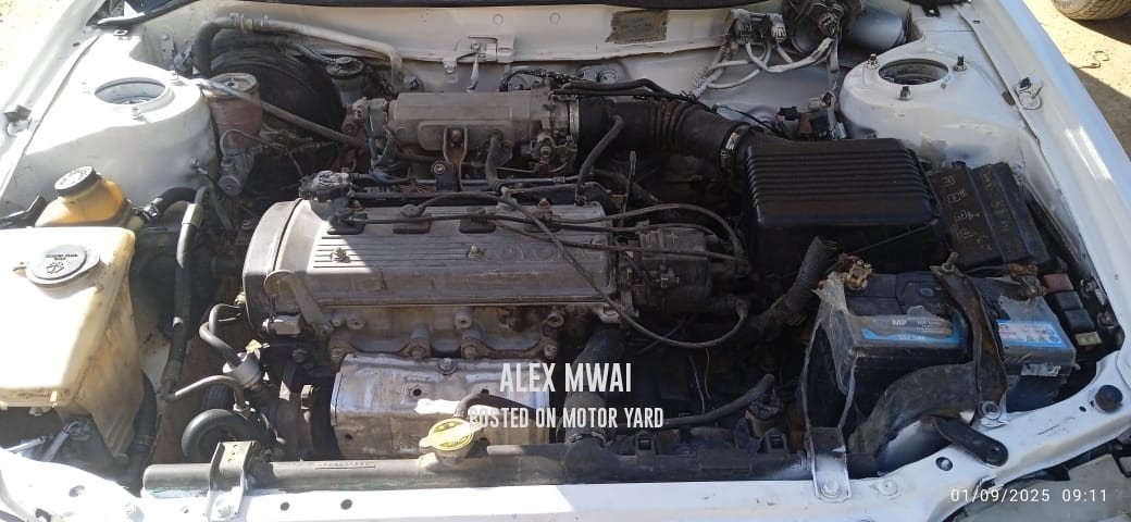 Toyota Corolla 2008 White