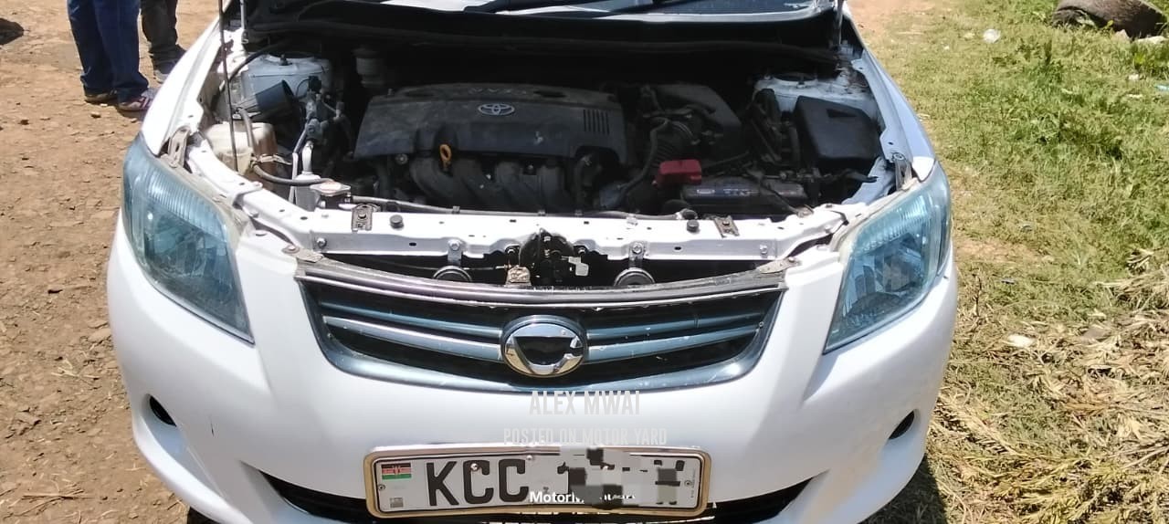 Toyota Fielder 2009 White