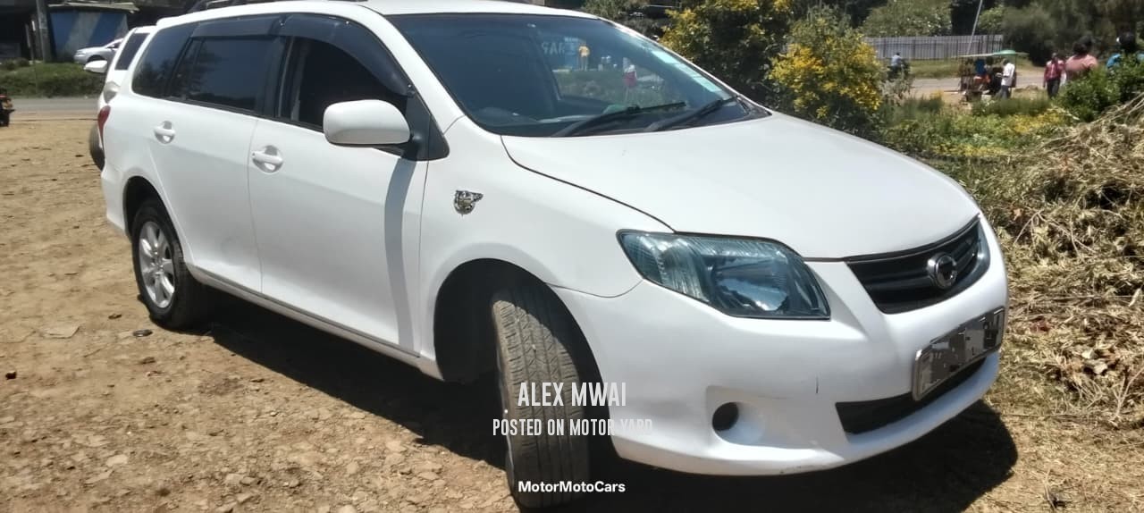 Toyota Fielder 2009 White