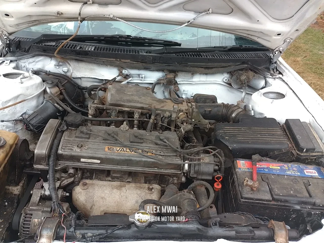 Toyota Corolla 2007 White