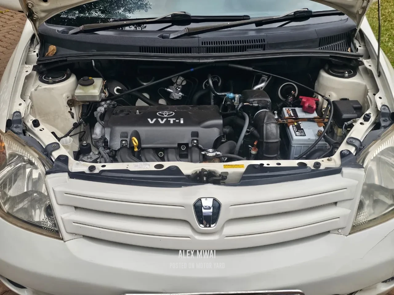 Toyota IST 2005 White